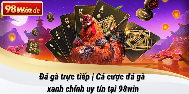 đá gà trực tiếp tại 98win